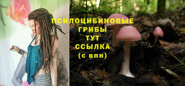 apvp Алзамай